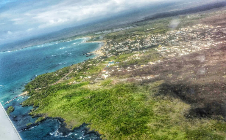 Aerial view of Santa Cruz Island, showcasing the coastline, lush greenery, and the town of Puerto Ayora in the center.