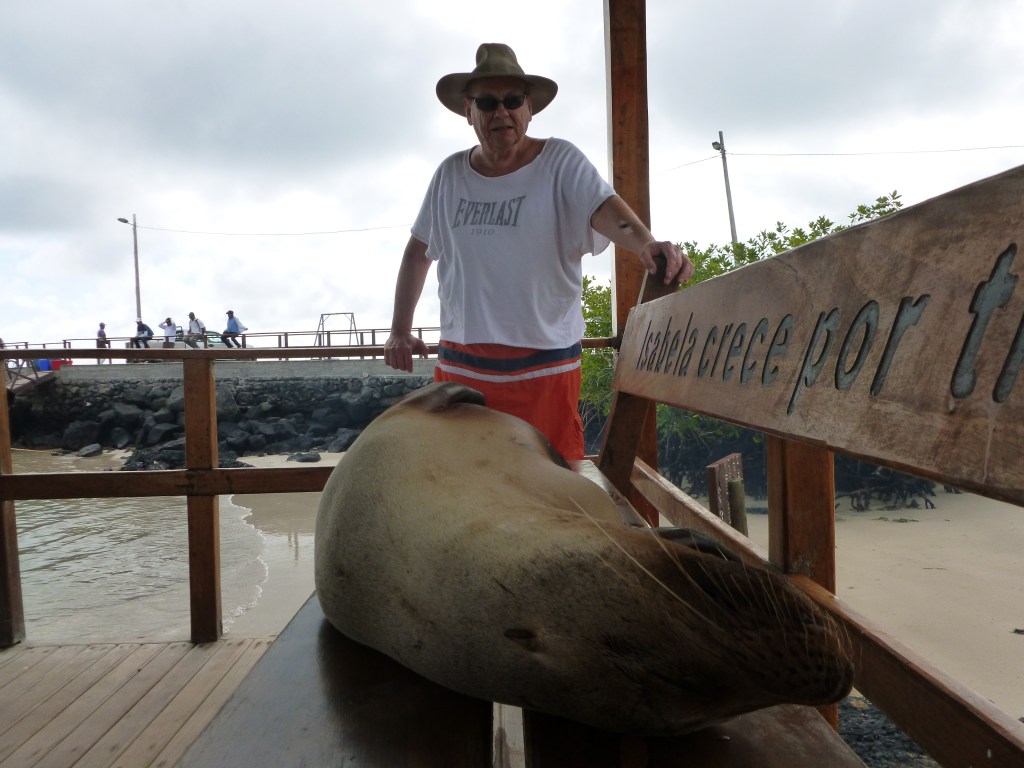 A person sitting near a sea lion on a bench in the Galapagos Islands, with a sandy beach and rocky shoreline in the background.
