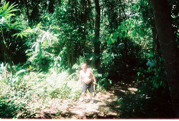 A person standing on a trail surrounded by lush greenery in a forest.
